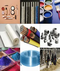 evergreen thailand application